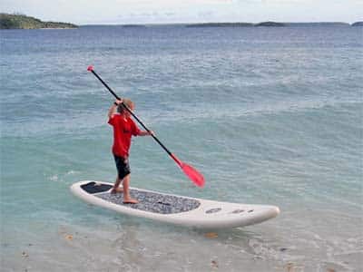 Hawaii Seahorse Conservation Hawaii Seahorse Conservation