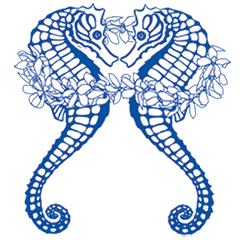Seahorse Hawaii Foundation Seahorse Hawaii Foundation