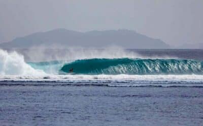 Surfing For Seahorse In Fiji (May 16-24th, 2014)
