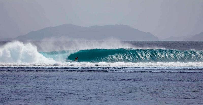 Surfing for Seahorses